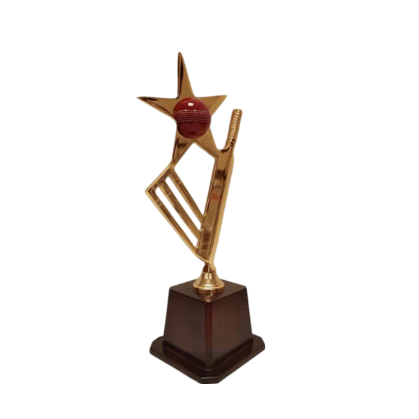 Star Crickter Trophy-266