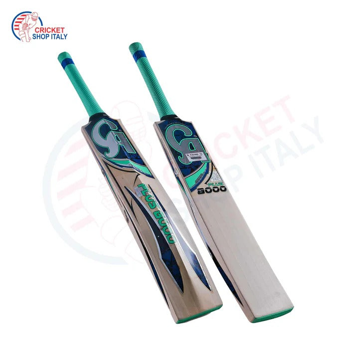 DS 1.0 Cricket Batting Set with Bat