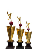 All-Rounder Cricket Trophy