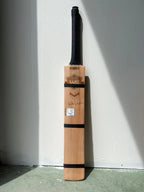WS Limited Edition Scoop Kashmir Willow Bat