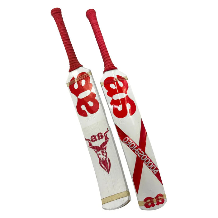 Lightweight 800-850g AA Victory bat at our cricket shop Germany