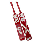 Pakistani made AA Rawlakoti bat - premium cricket gear Europe