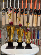 All-Rounder Cricket Trophy – view 2