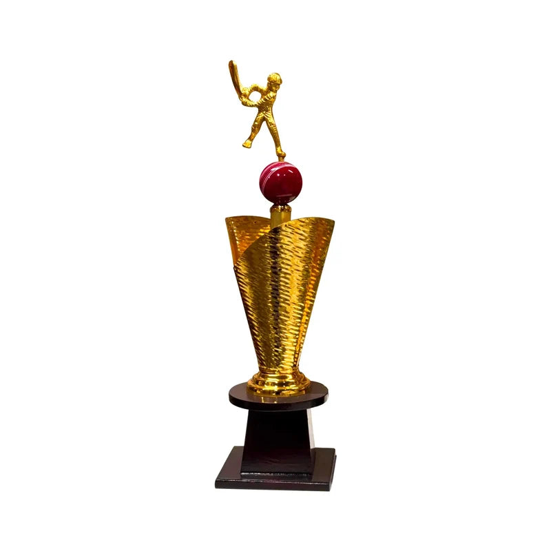 All-Rounder Cricket Trophy – view 3