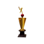All-Rounder Cricket Trophy – view 4
