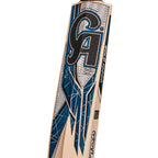 Lightweight CA Gold 10000 cricket bat designed for T20, Test, and one-day formats.
