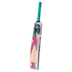 Entry-level CA Gold 3000 English Willow Cricket Bat for beginners