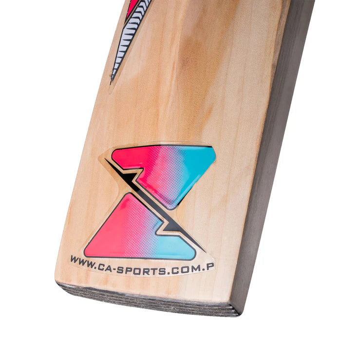 Quality CA Gold 3000 entry-level bat representing top cricket gear Europe