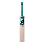 CA PRO 10000 Cricket Bat – view 5