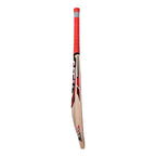 CA PRO 12000 English Willow Cricket Bat available at our cricket shop Germany