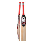 CA PRO 12000 English Willow Cricket Bat front profile