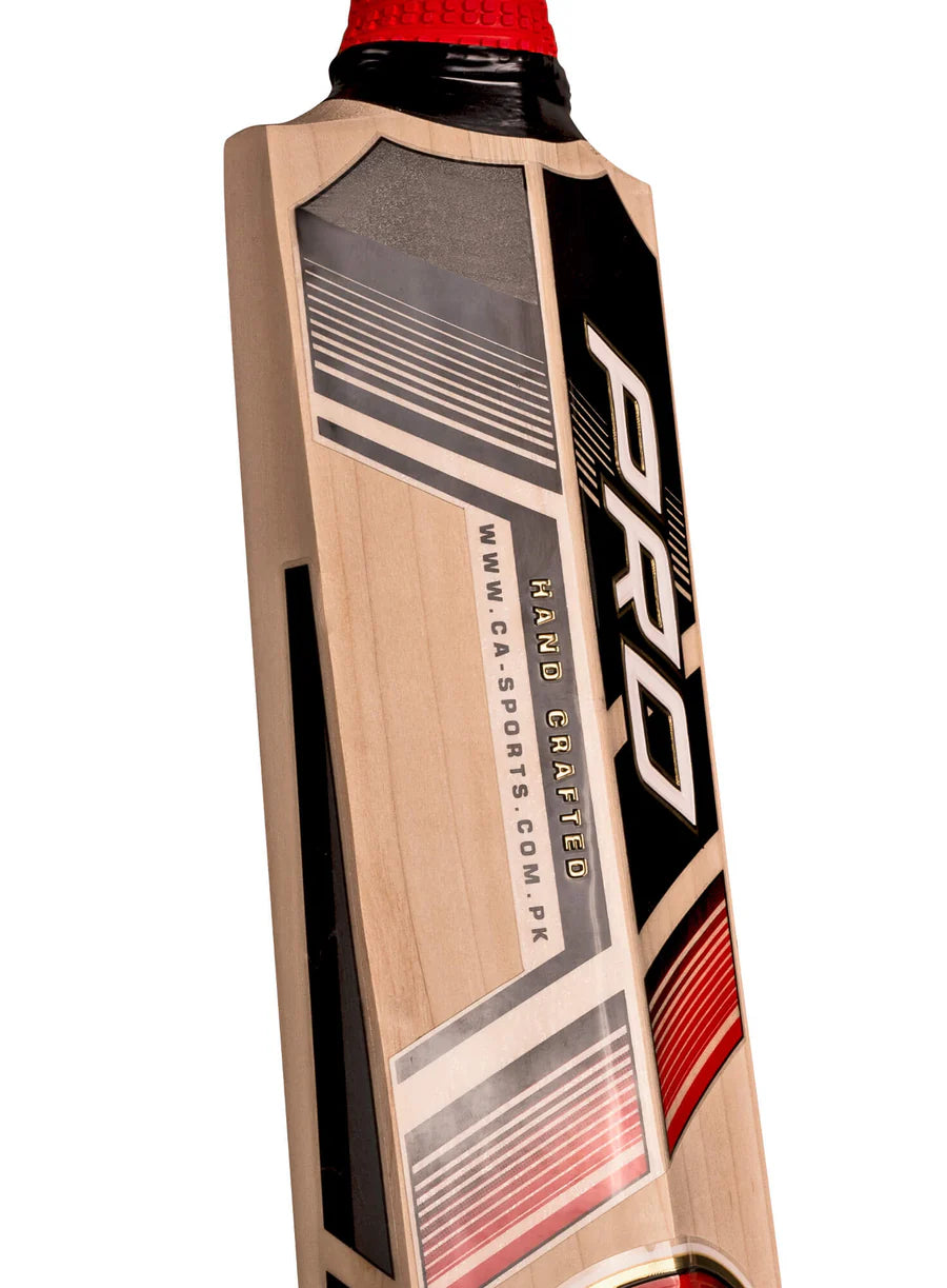 Rear spine view displaying the sleek silver and red graphics on the CA Pro 15000 Performance Edition English Willow Cricket Bat.