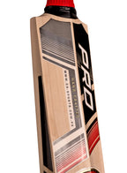 Rear spine view displaying the sleek silver and red graphics on the CA Pro 15000 Performance Edition English Willow Cricket Bat.