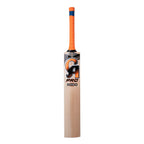 CA Pro 5000 English Willow Cricket Bat available at our cricket shop Germany