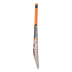 Buy cricket bats in Germany including the CA Pro 5000 English Willow Cricket Bat