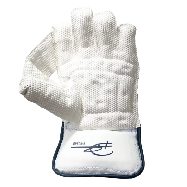 SS Colt Wicket Keeping Gloves