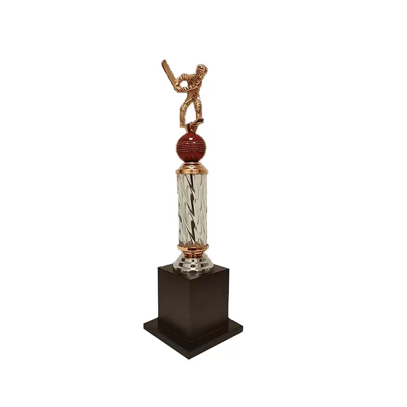Cricket Batsman Trophy