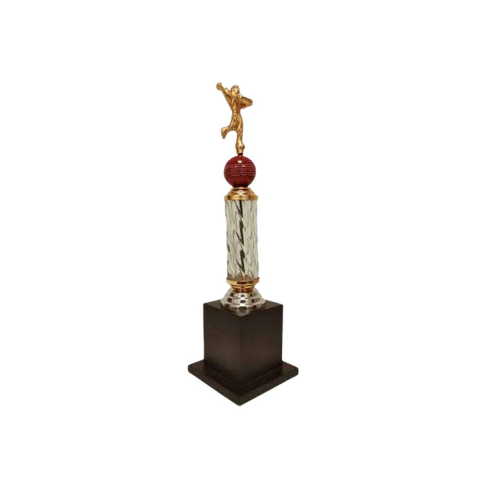 Cricket Bowler Trophy – view 2