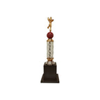 Cricket Bowler Trophy