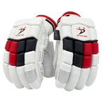 DS 1.1 L.E Batting Gloves Black/Red Cricket Batting Equipment