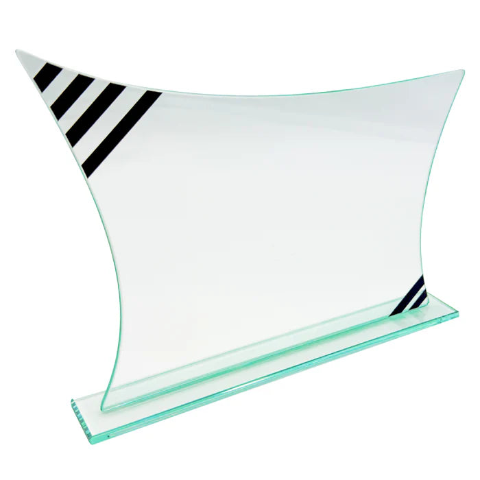 DS Chief Guest Cricket Shield/Trophy for Award – Diamond