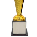 DS Crystal Gold Cricket Trophy – view 3