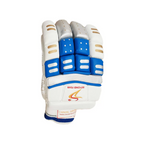 Ds D 1.0 Batting Gloves Youth ( silver/blu) Cricket Batting Equipment – view 2
