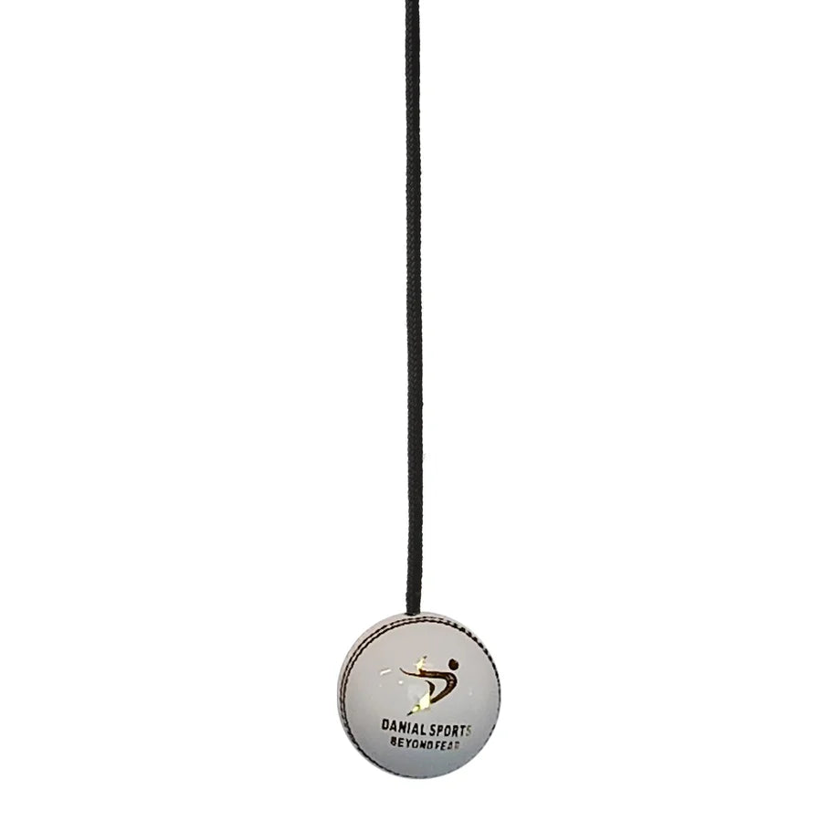DS Hanging Cricket Ball red and white leather