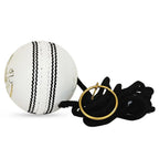Leather hanging cricket ball for solo training