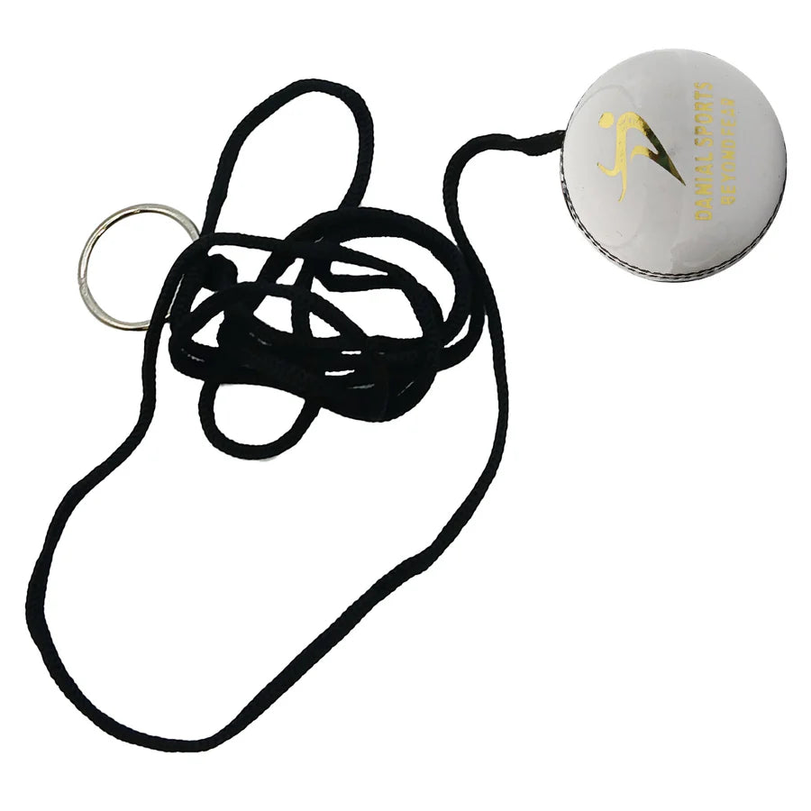 DS lightweight hanging cricket ball for timing drills