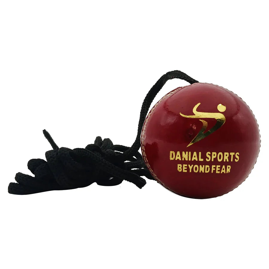 DS cricket skill building hanging leather ball