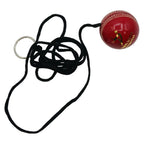 DS leather hanging cricket ball for reflex training