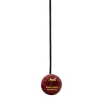 Portable DS hanging ball for home cricket practice