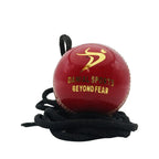 Red and white DS hanging cricket ball detail