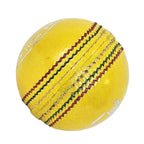 DS Indoor Cricket Ball yellow leather design
