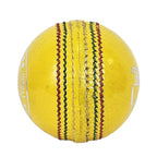 Best DS Indoor Cricket Ball for indoor matches