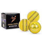 DS Indoor Cricket Ball Pack of 6 yellow leather