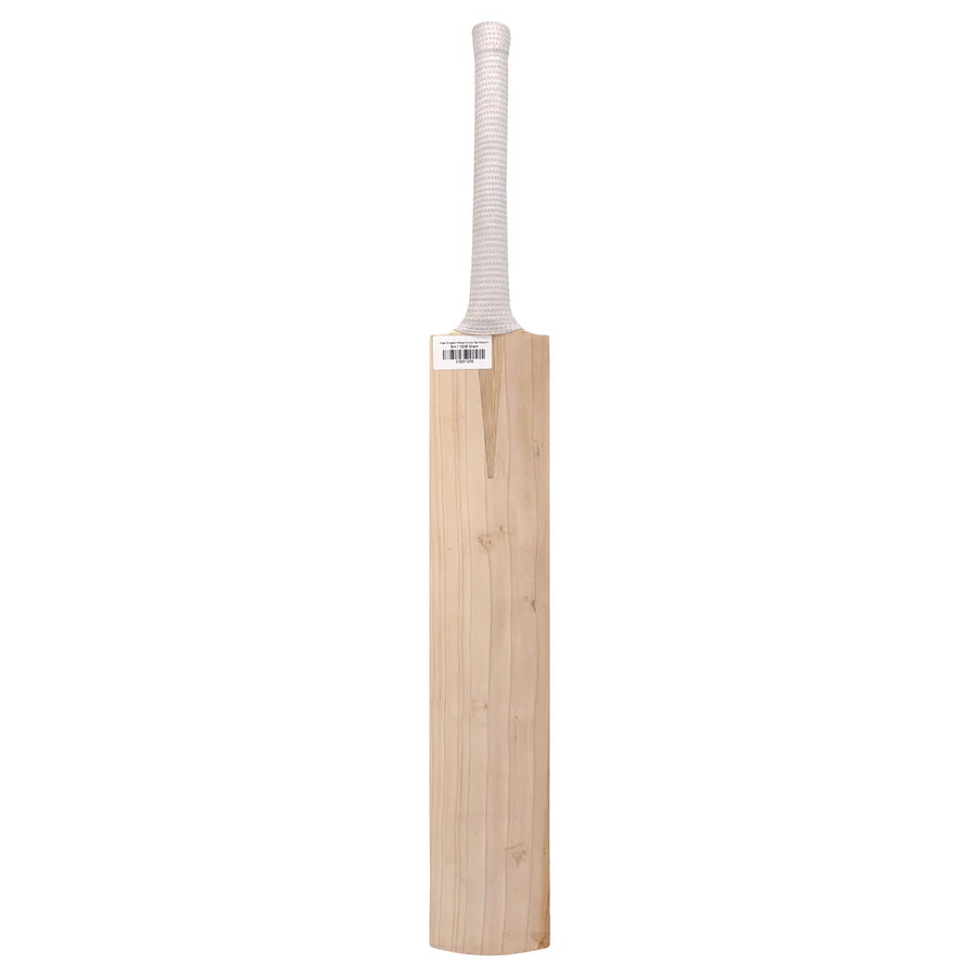 Unbranded entry-level bat representing reliable cricket equipment Germany