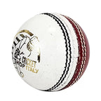 DS Practice Red / white Cricket Ball – view 4