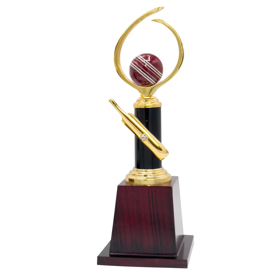 Pro Cricket Trophy -272 securely packed in protective foam within its shipping box, ensuring safe and damage-fast delivery.