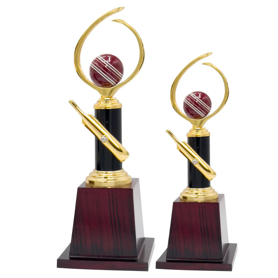 Pro Cricket Trophy -272 displayed on a polished wooden base, featuring a detailed metal bowler and cricket ball.