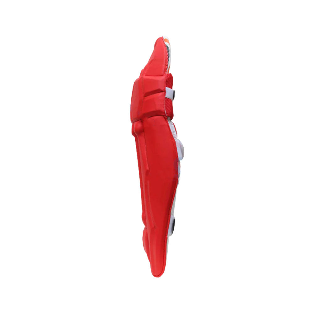 DS Red Cricket Pads & Gloves Set – view 6