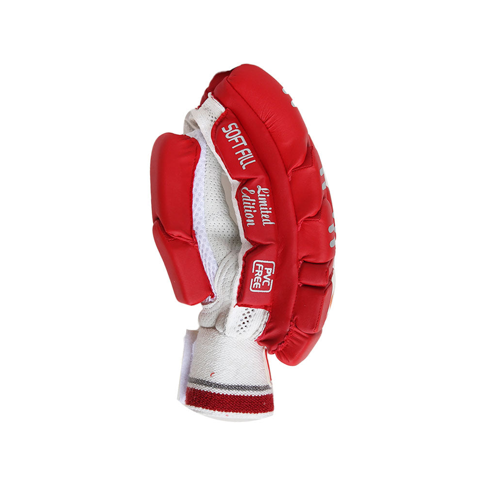 DS Red Cricket Pads & Gloves Set – view 7