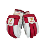 DS Red/White 1.0 Batting Cricket Gloves Junior