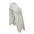 DS Sports 1.0 Batting Pads Cricket Batting Equipment