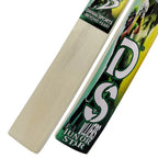 DS Sports Junior Star Tape ball Cricket Bat Size 3 – view 9