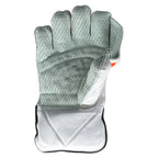 Ds Supreme Wicket Keeping Gloves Wicket Keeping Gear – view 2