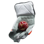 Ds Supreme Wicket Keeping Gloves Wicket Keeping Gear – view 4