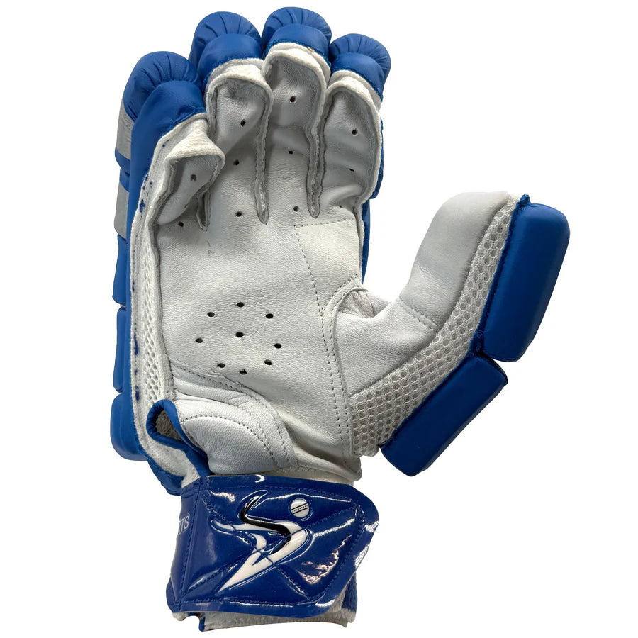Ds T/20 Limited Edition Batting Cricket Gloves Blue – view 6