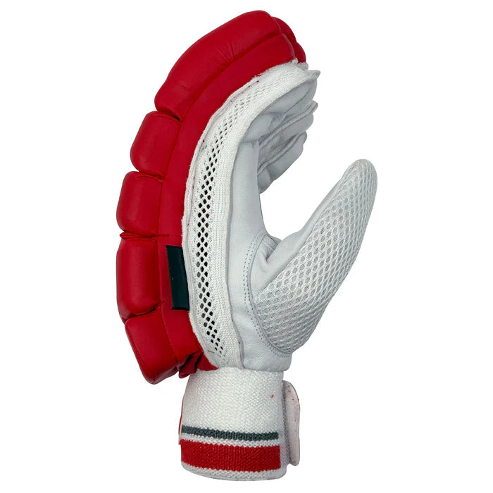 DS T/20 Limited Edition Batting Gloves Red Cricket Batting Equipment – view 3